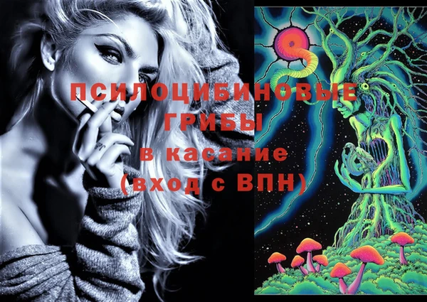 СК Надым